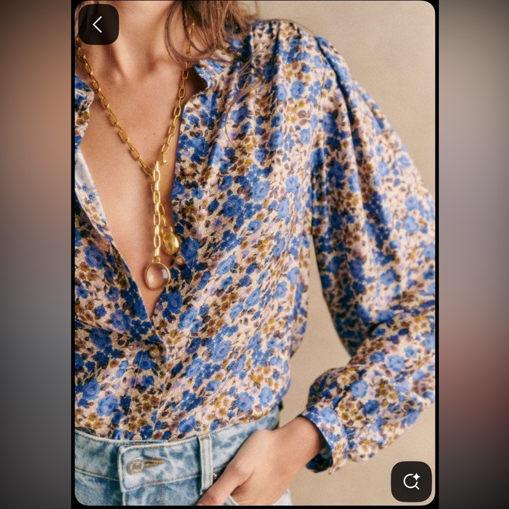 Sezane Blue and Brown Floral Blouse